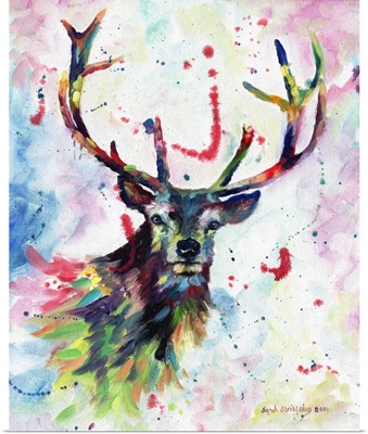Color Stag