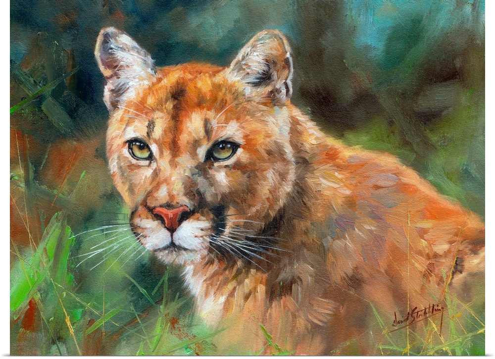 North American cougar (mountain lion). Oil on canvas.