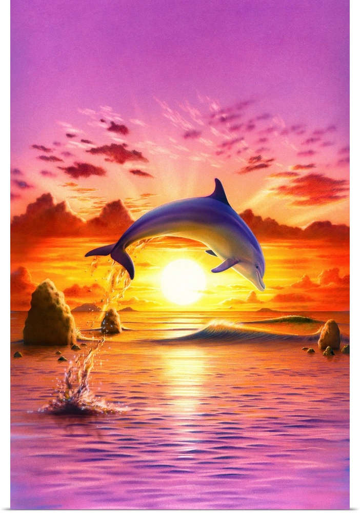 Day Of The Dolphin - Sunset
