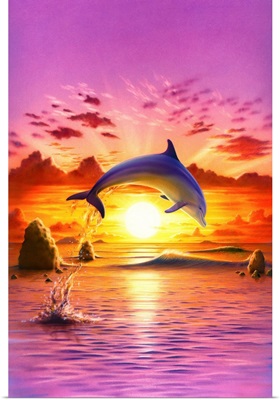 Day Of The Dolphin - Sunset