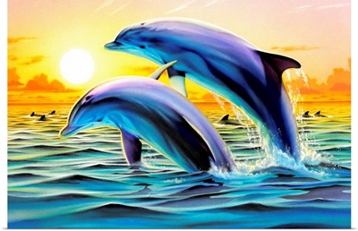 Dolphin Duo II