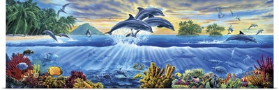 Dolphin Family Panorama