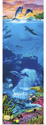 Dolphin Panel