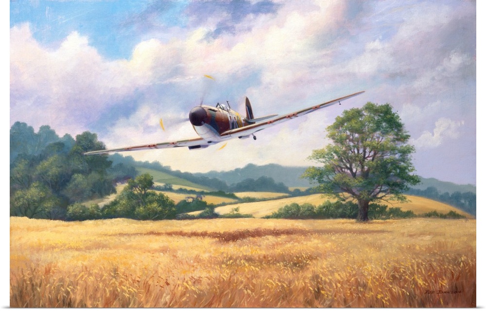Painting of a vintage military fighter plane flying low over a rural landscape.