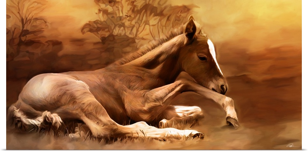 Contemporary animal art of a foal laying peacefully on the ground.