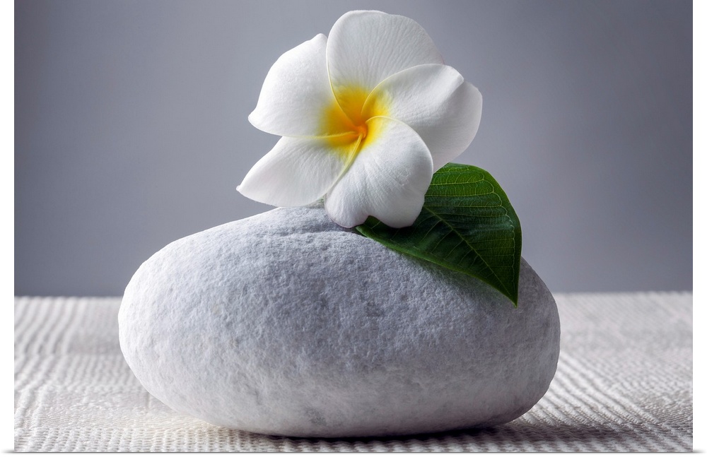A beautiful white flower with a yellow center and one green leaf  is placed on top of a large white stone.