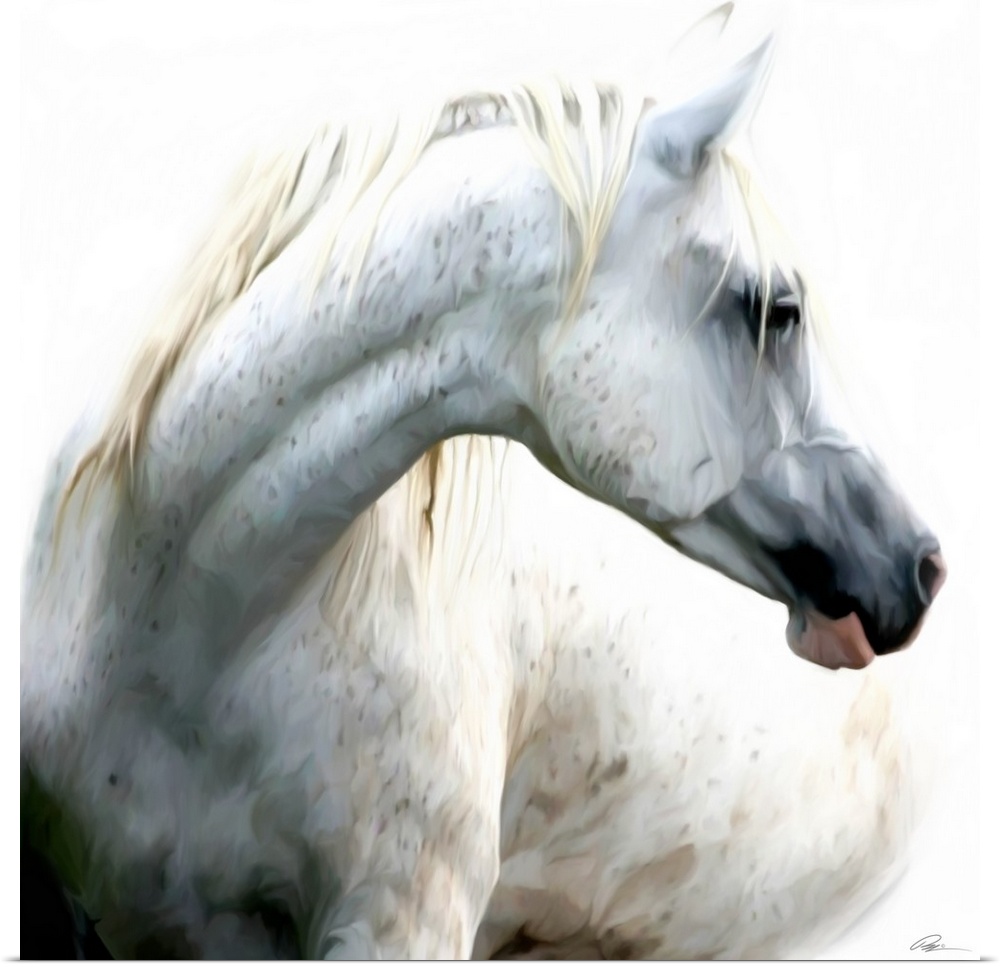 Contemporary painting of a white horse looking proud and majestic.