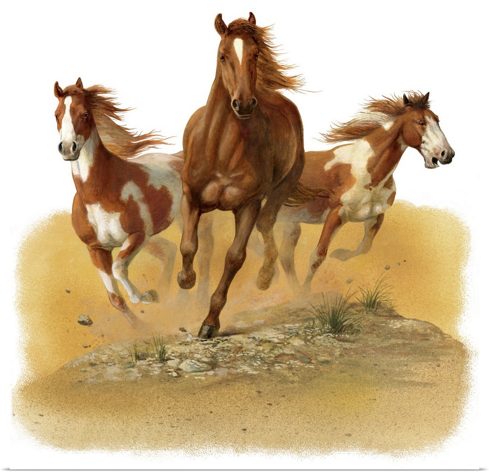 Contemporary painting of three horse in a gallop kicking up dust and dirt.
