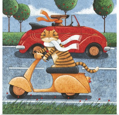 Life In The Fast Lane