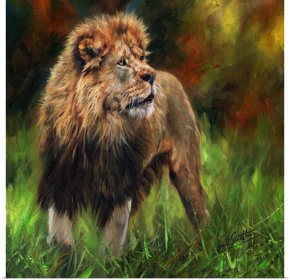 Contemporary painting of a male African lion.