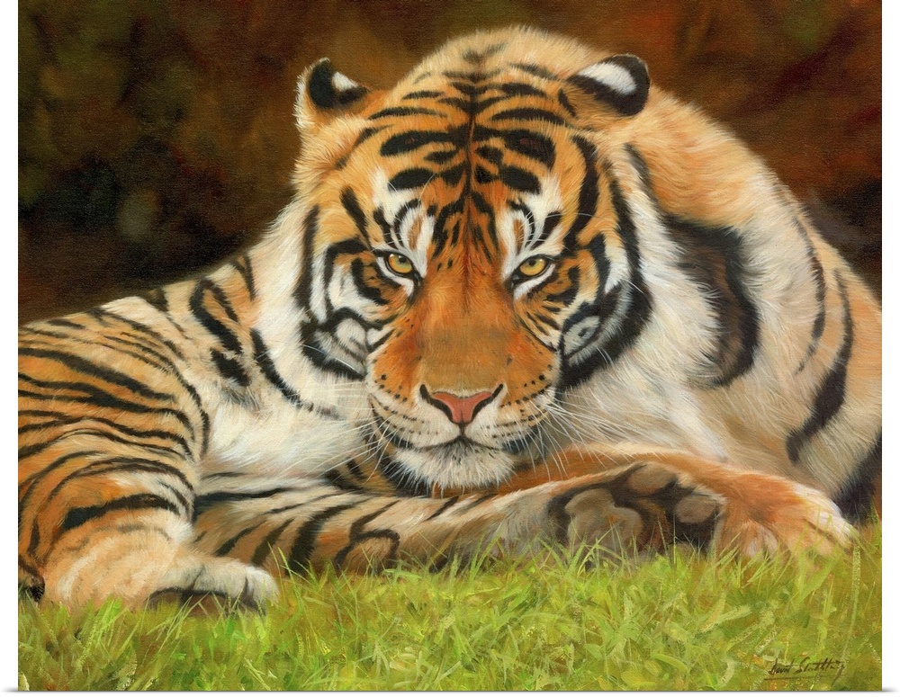 Painting of a tiger laying on the grass looking proud and majestic.