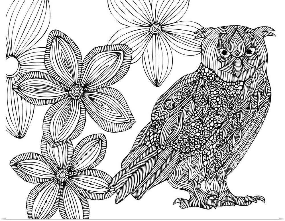 Contemporary line art of an ornately patterned owl and flowers against a white background.