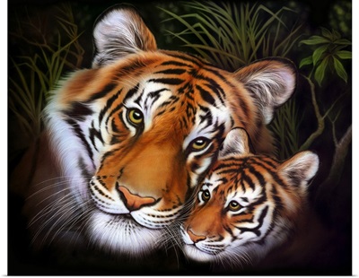 Bengal Tiger print by Mark Adlington
