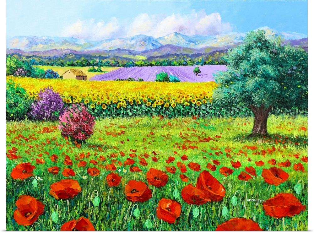 Painting of a rural landscape of flowering fields of bright red poppies.