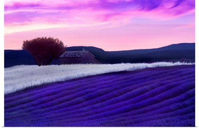 Provence At Dusk
