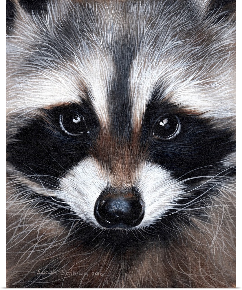 Portrait of a cute raccoon with large eyes.