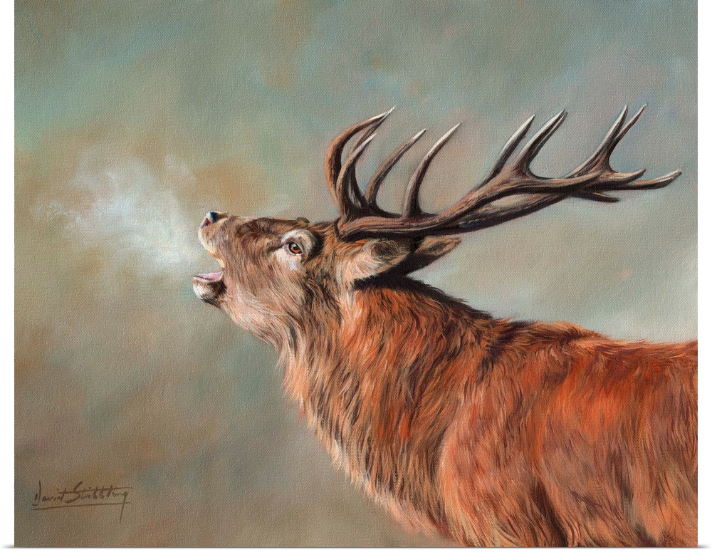 Contemporary painting of a red deer stag in the early morning.