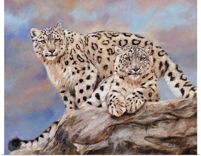 Snow Leopards On Rock