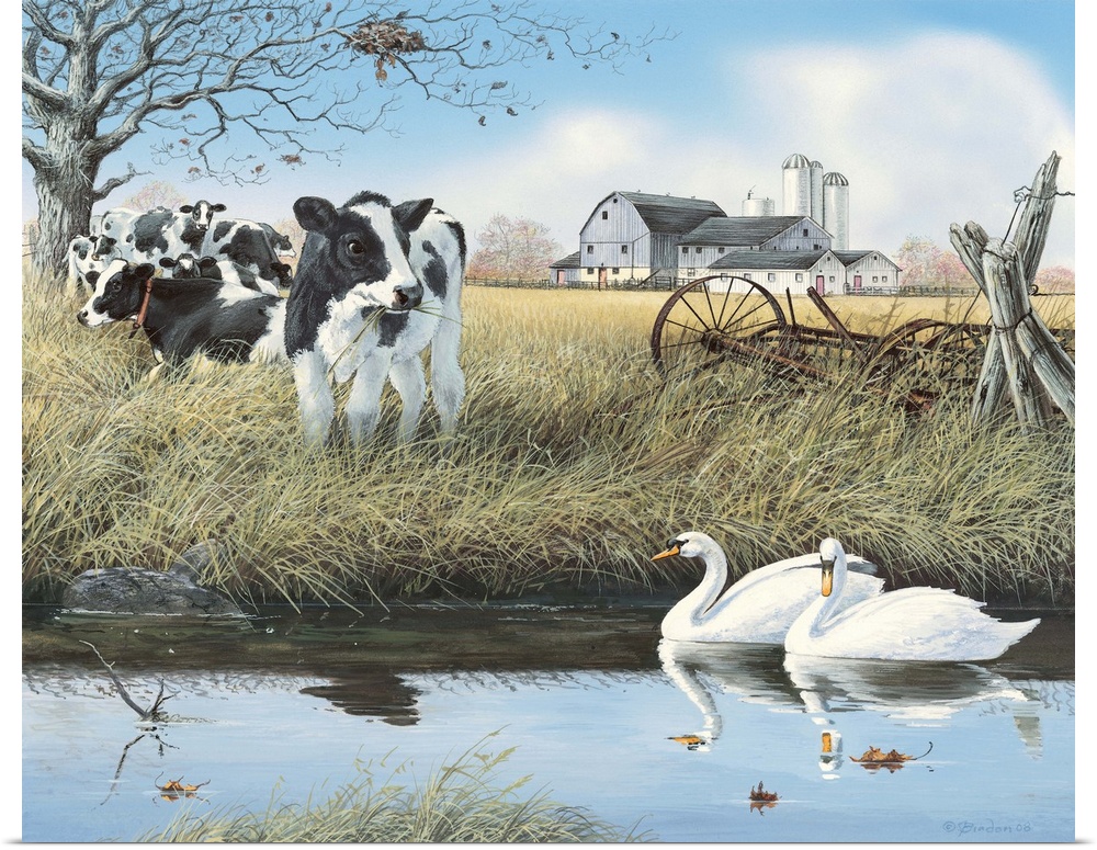 Contemporary painting of a young cow grazing on grass while swans stroll by on a stream.