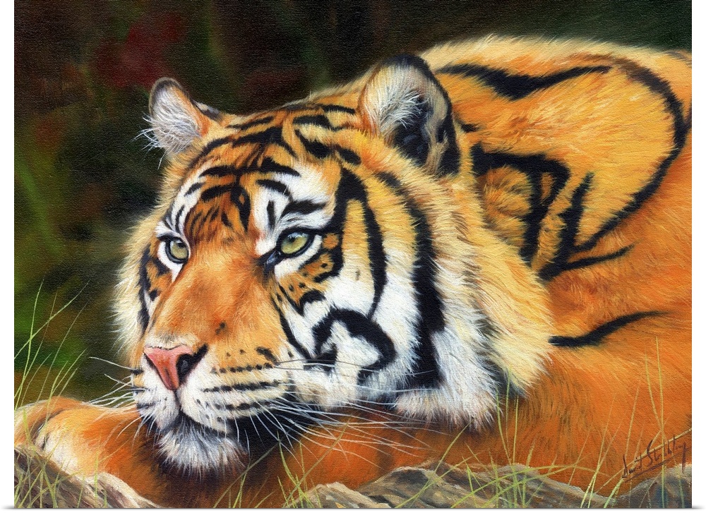 Contemporary painting of a Sumatran tiger laying peacefully on the ground.