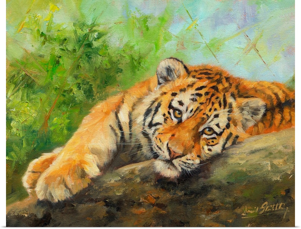 Contemporary painting of a tiger cub lazily laying on a rock.