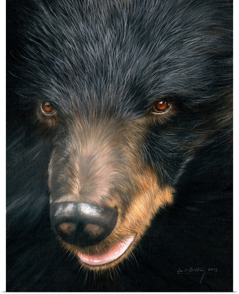 Contemporary painting of a black bear face close-up.
