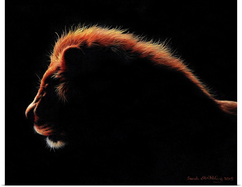 African Lion at twilight painted in oil paints on canvas.