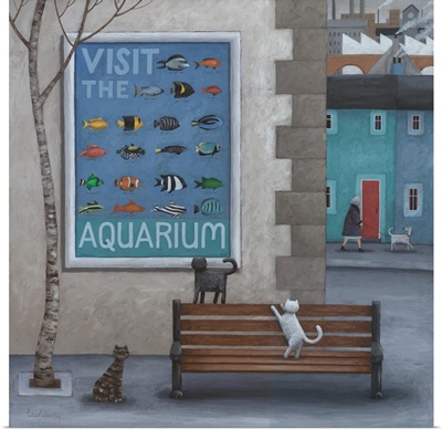Visit The Aquarium