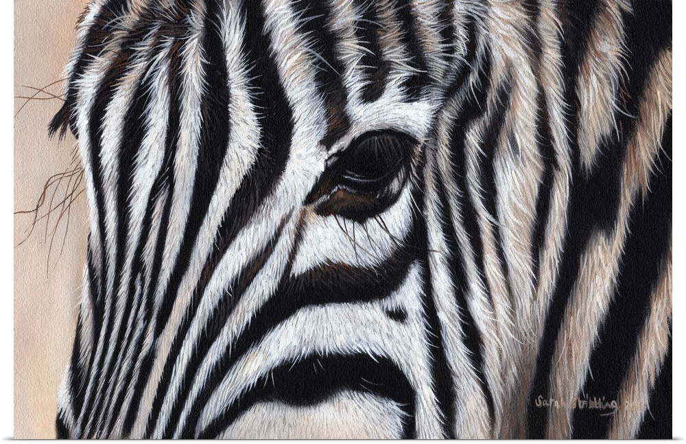 Zebra eye close up, oil on canvas.