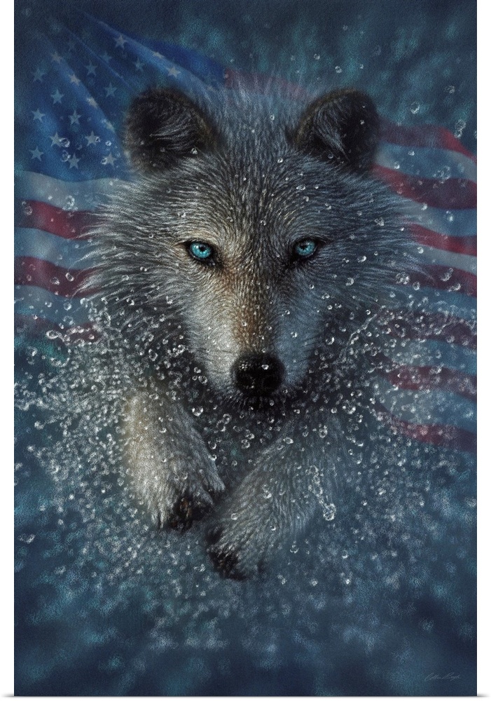 American Wolf