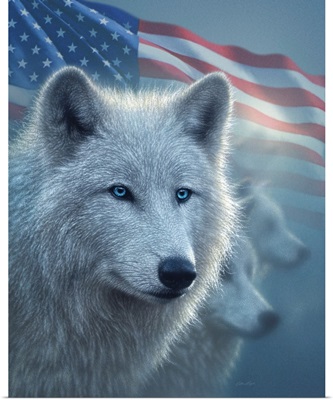 Arctic Wolves America