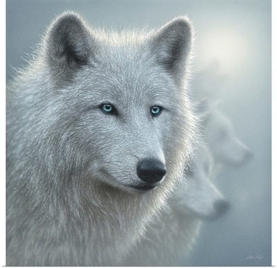 Arctic Wolves - Whiteout