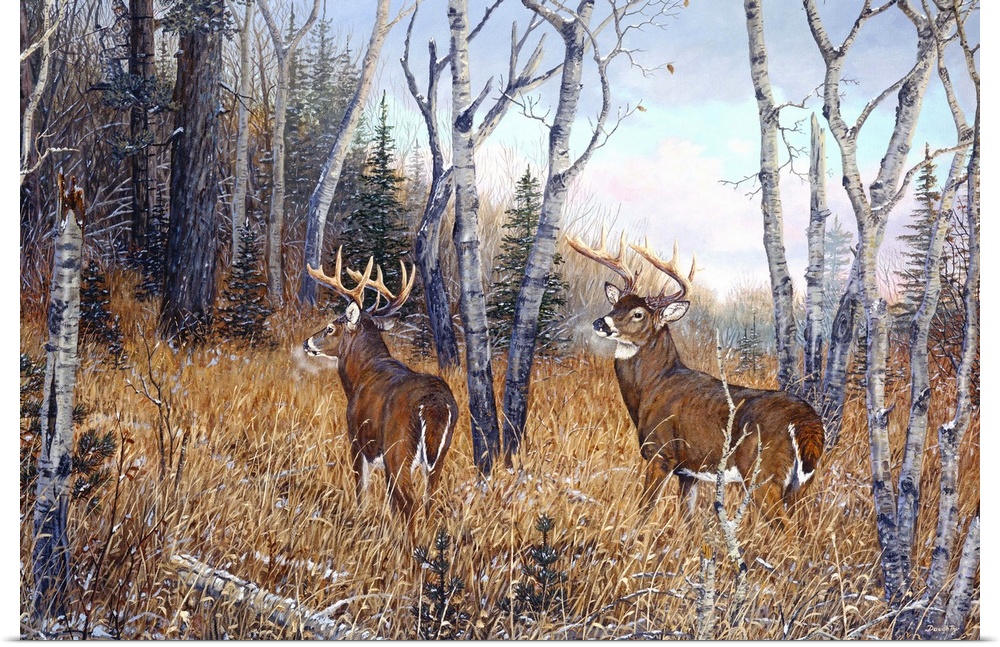 Artwork of two deer in the woods.
