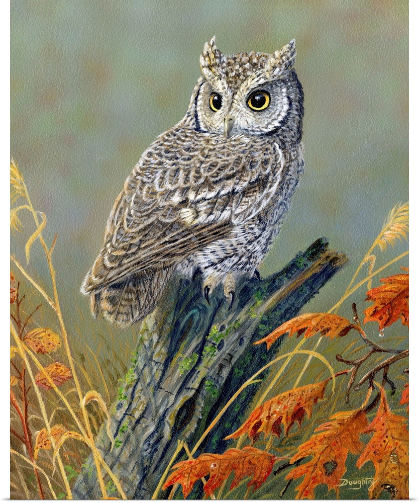 Contemporary artwork of a small screech owl perched on a branch, with fall leaves.