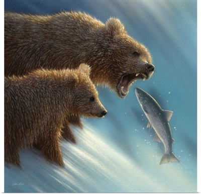 Brown Bears - Fishing Lesson