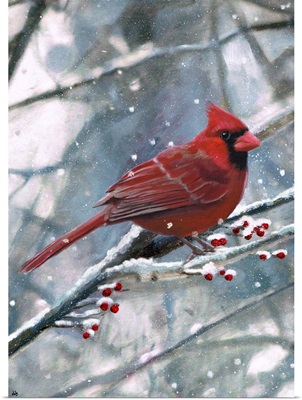 Cardinal Snow