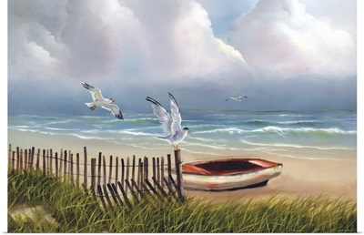 Coastal Seagulls