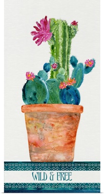 Colorful Cactus 4