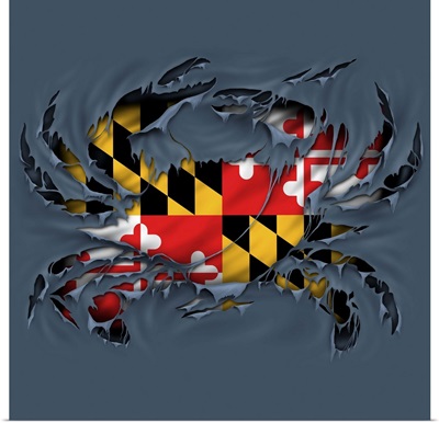 Crab Maryland Flag
