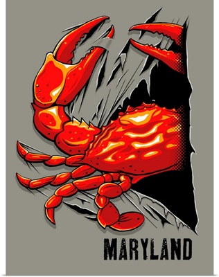 Crab Rip - Maryland