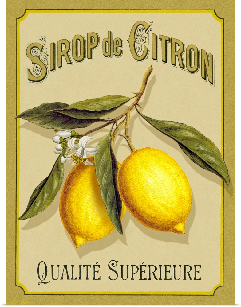 Large print of an a French advertisement with two lemons on a branch.