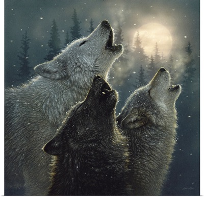 Howling Wolves - In Harmony