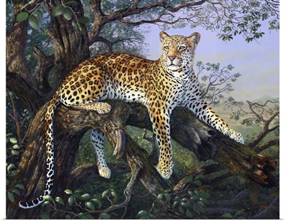 Leopards Domain