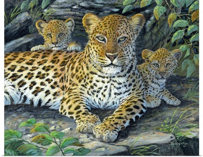 Leopards Lair