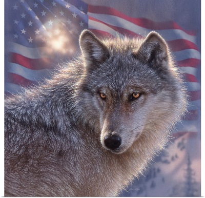 Lone Wolf America