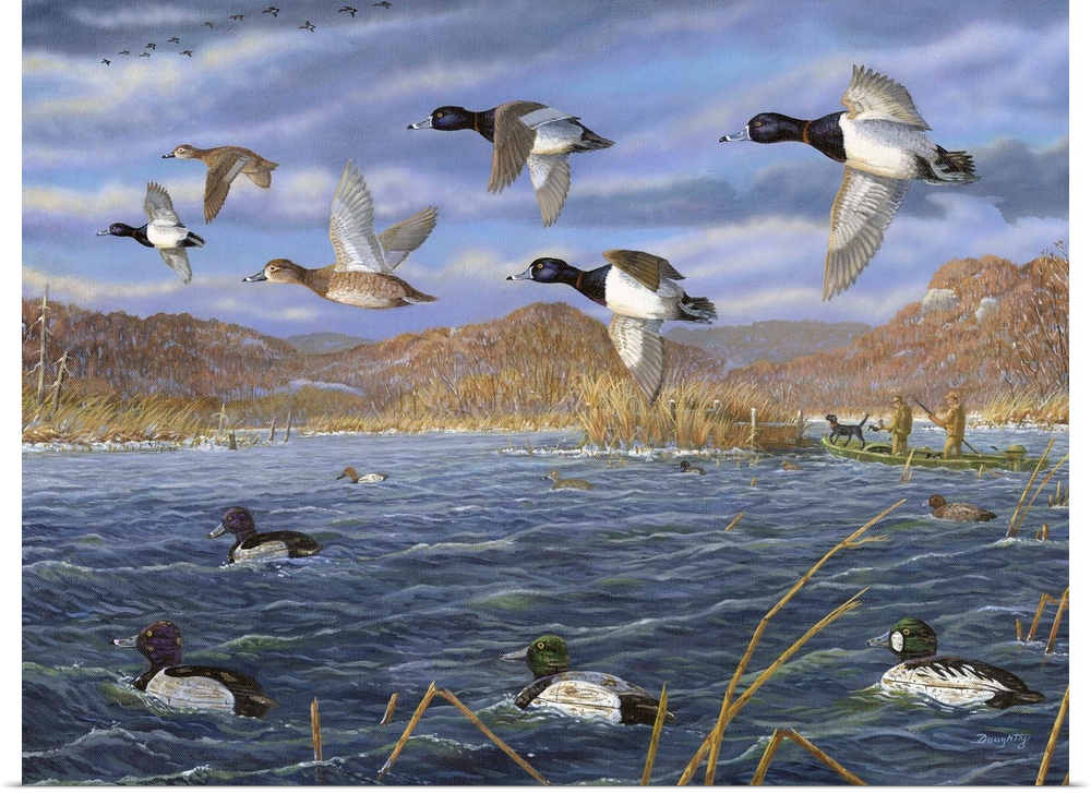 Contemporary artwork of decoys on the water and scaups in flight over the Mississippi River.