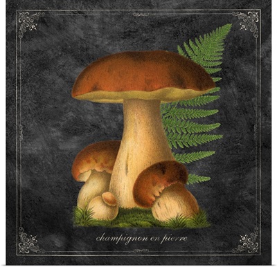 Mushroom Style I