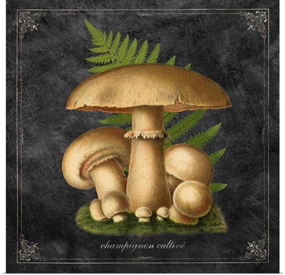 Mushroom Style II