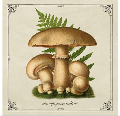Mushroom Style IX