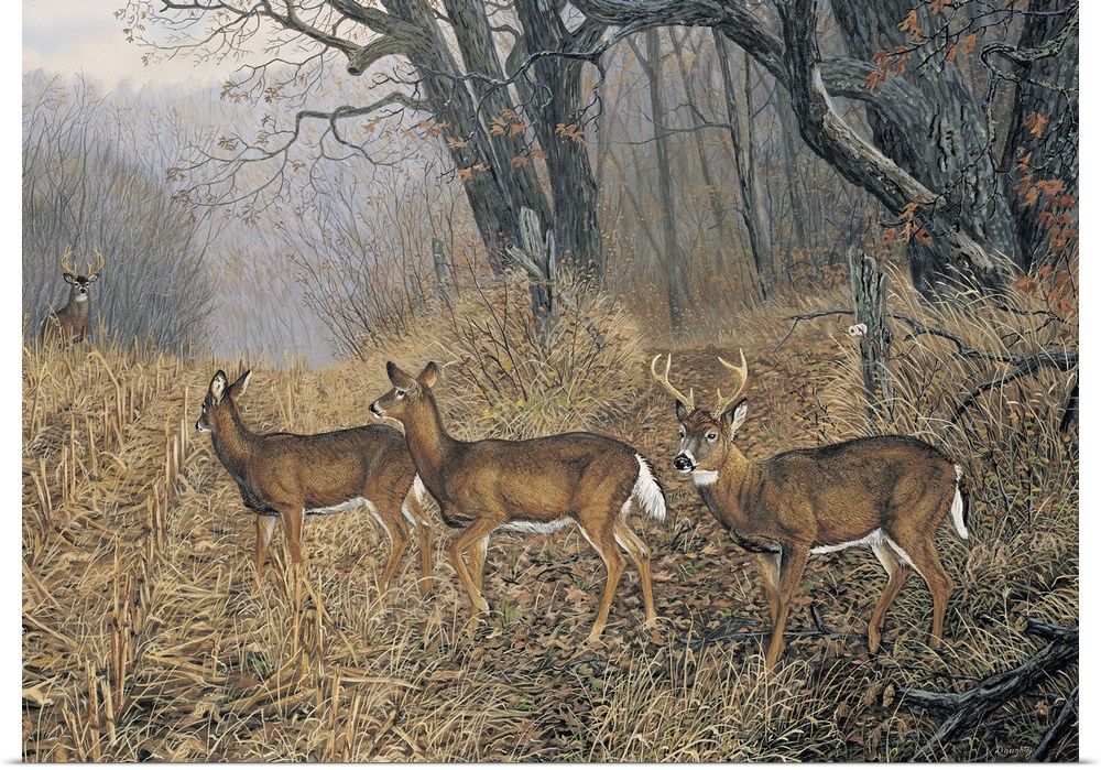 Contemporary artwork of a group of deer in a dry field and the forest with bare trees drawn to the right.